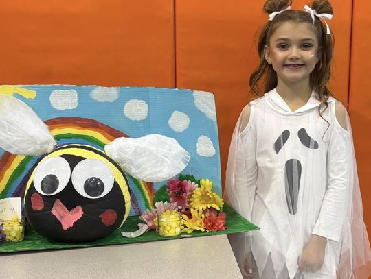 Teague Elementary PTO Storybook Pumpkin Contest