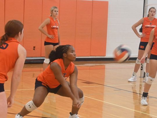 Teague Lady Lions Volleyball