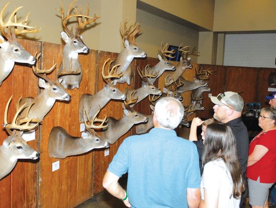 The Big Boys: Upcoming TBGA Awards Banquets to Recognize the State’s Top-Ranked Bucks from 2024–25 Deer Season