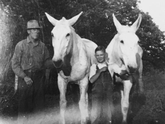 The Legacy of Memories