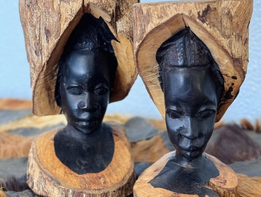 TSAC Present Art Walk on Feb. 5