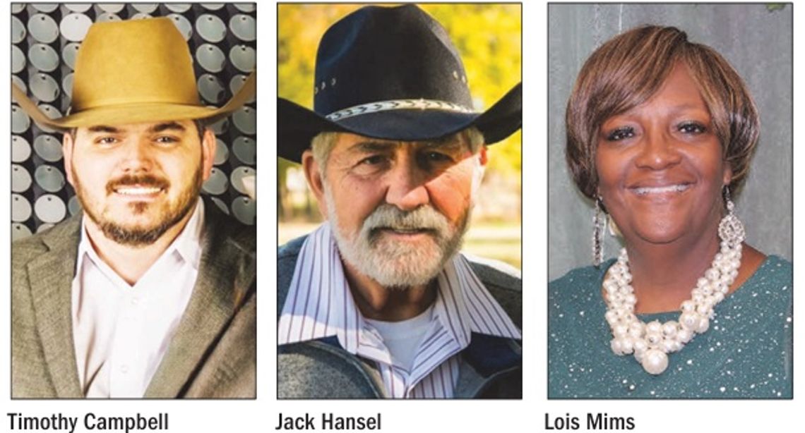 3 Candidates Running for Teague Mayor