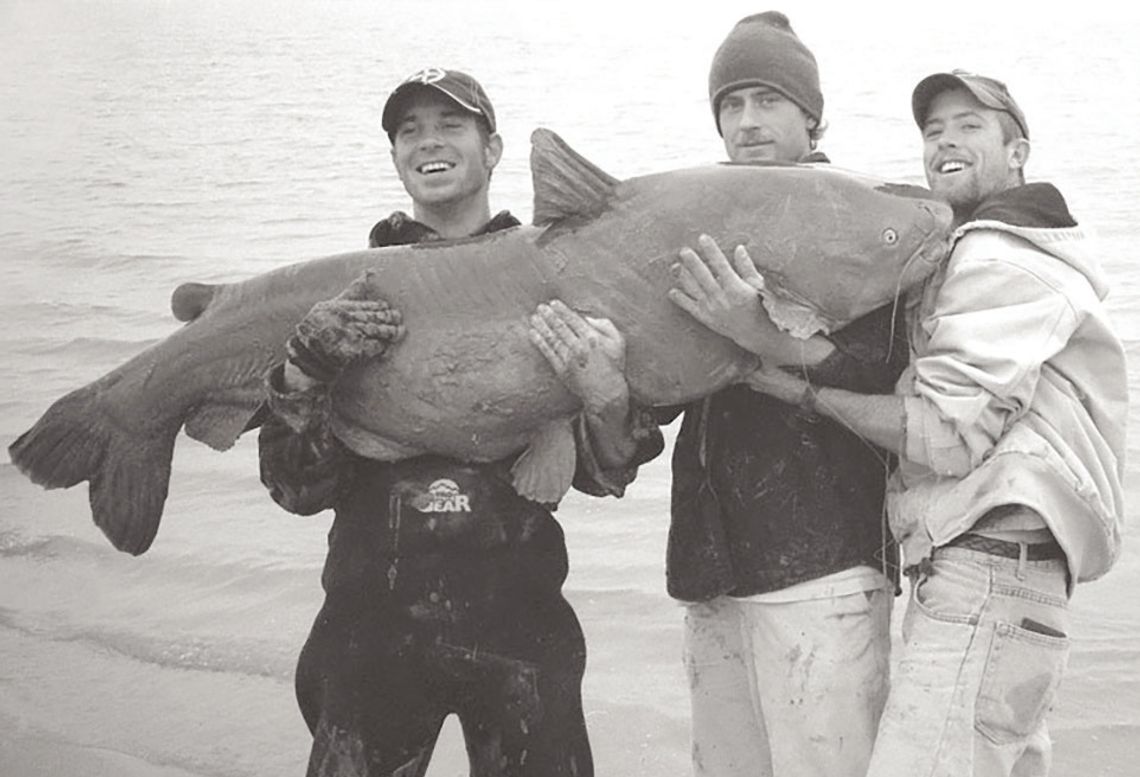 At long list: Many lakes have produced whopper-sized cats