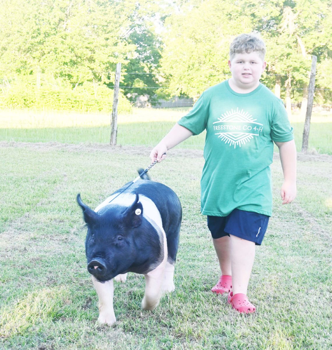 Baillio Ready for Freestone County Fair