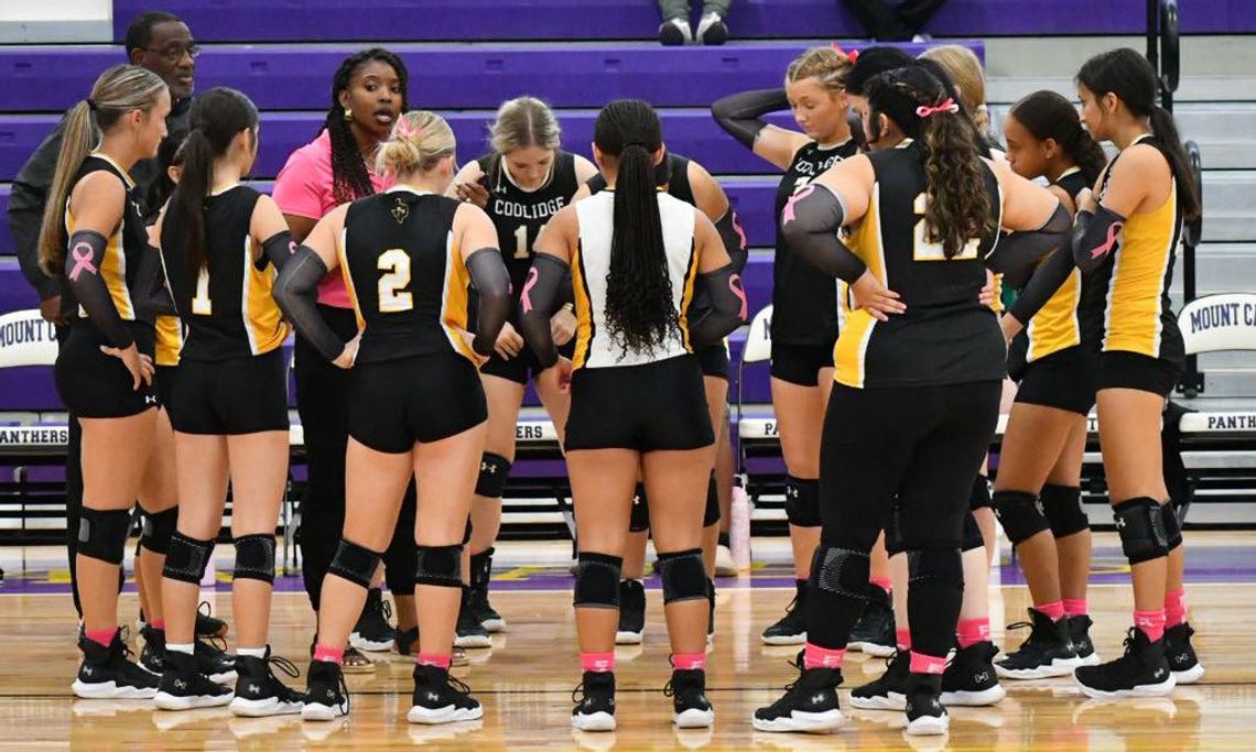 Bi-Stone Area Volleyball Results from October 14-18