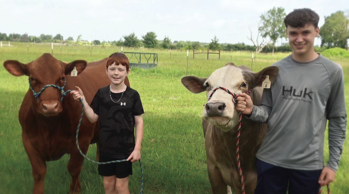 Brockman Brothers Ready to Show Steers at Freestone County Fair