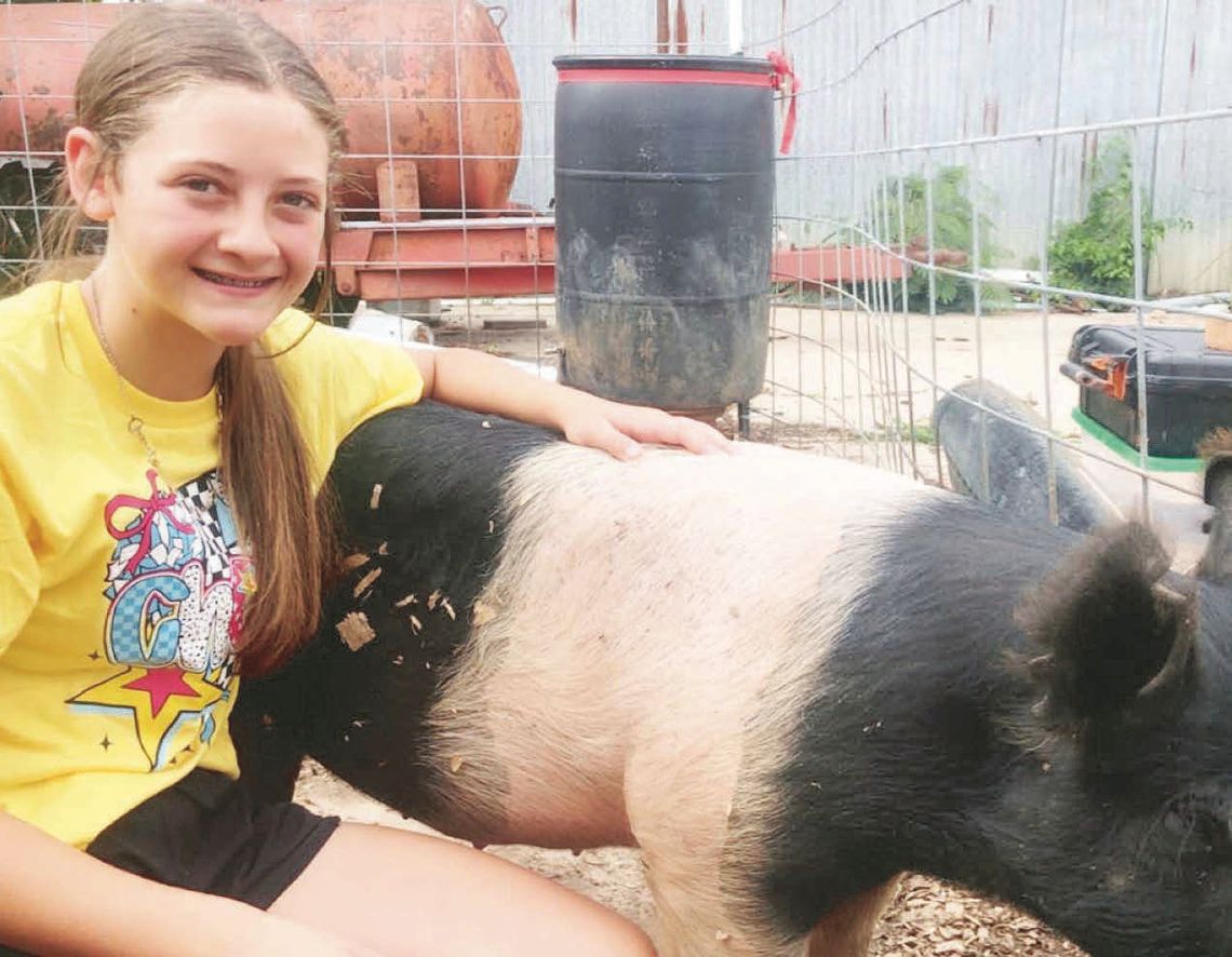 Buniger Ready for Freestone County Fair