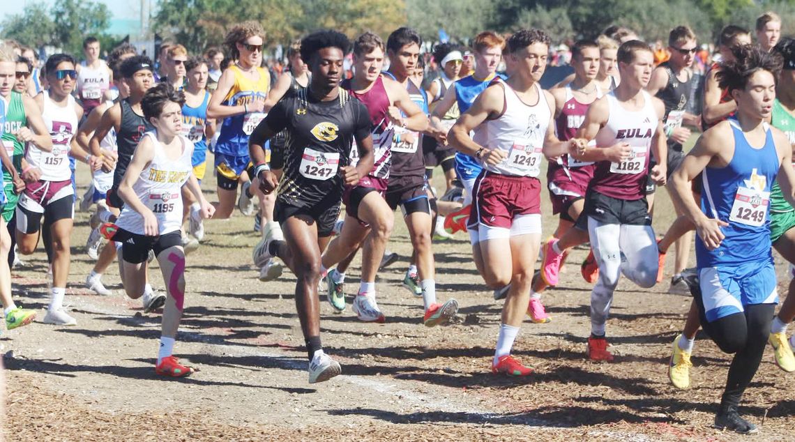 Cross-Country Results from the State CC Meet Finale