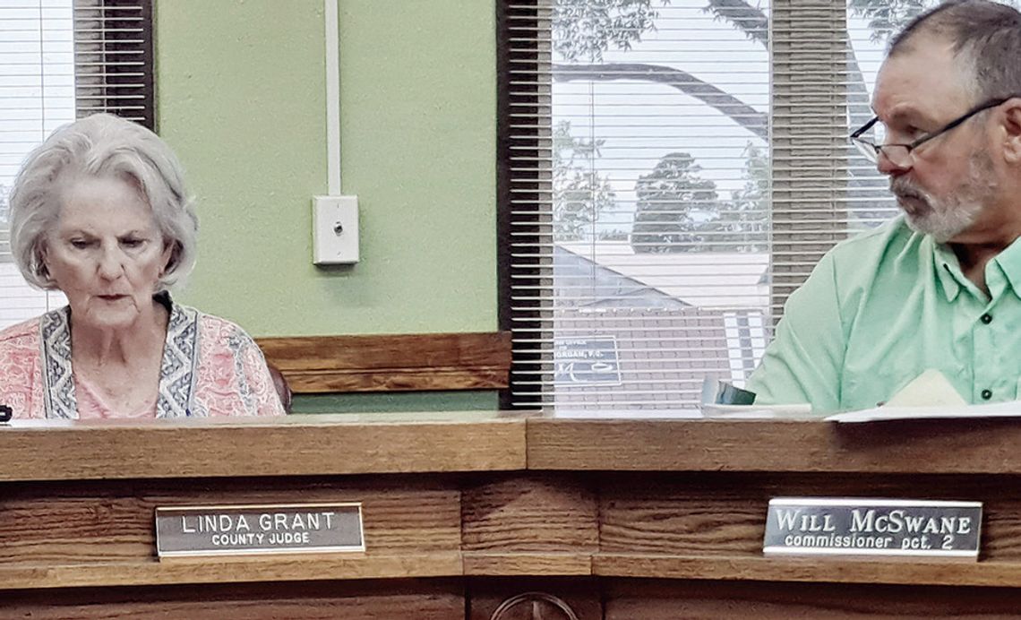 During a specially called meeting on Monday, Sept. 23, Freestone County Precinct 2 Commissioner Will McSwane gives his fellow commissioners the reasons he believes the county needs to replace a bridge on County Road 640, which was previously damaged by a storm . At left can be seen Freesto...