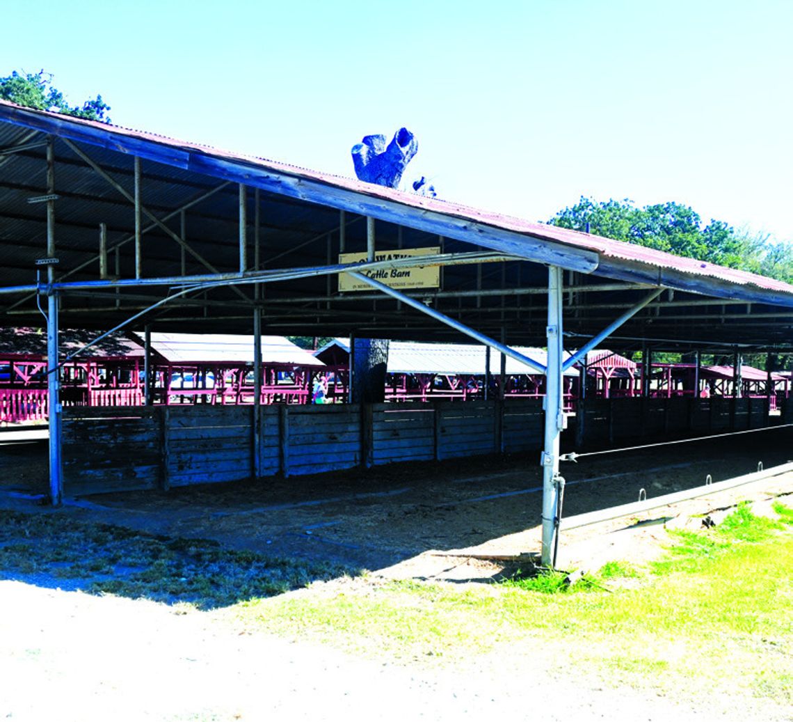The Don Watkins Cattle Barn will be rebuilt prior to the 2025 Freestone County Fair. Photo by Mitchell Pate/Fairfield Recorder