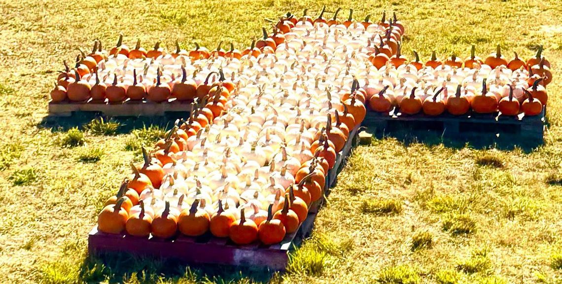 FFBC Pumpkin Patch Open Through Oct. 31