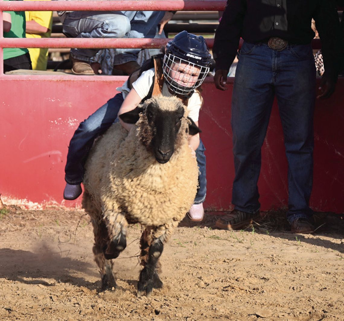 Freestone County Rodeo Mutton Bustin’