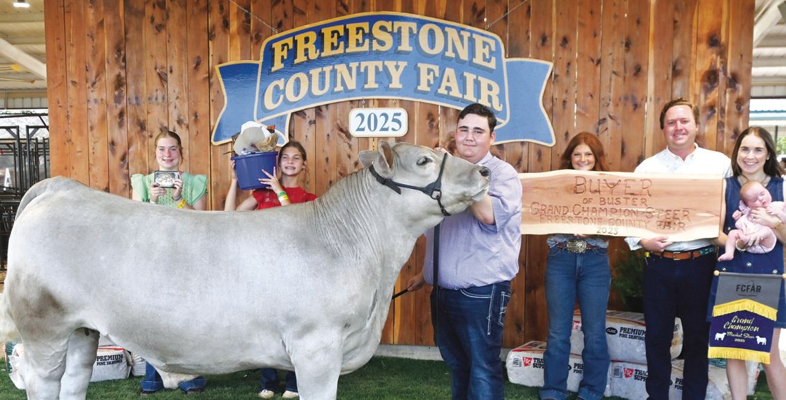 Grand Champion Steer Sells for $32K