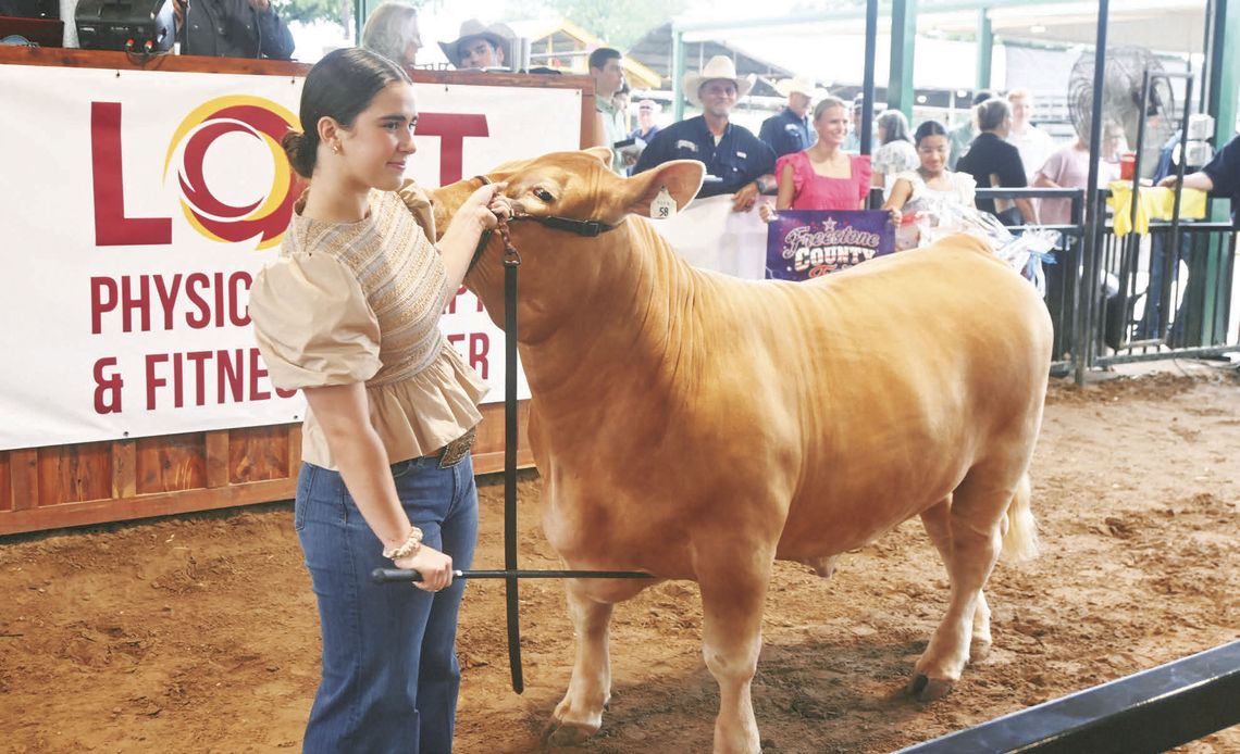 Grand Champion Steer Sells for $60K