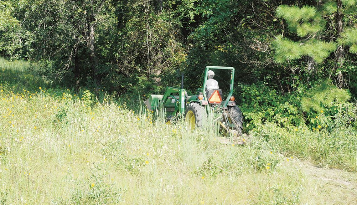 Brush hogging an overgrown pasture during the height of fawning season from May through early July can be risky business. If possible, it’s better to wait until later in summer. Fawns will be more mobile and wary by then. Walking a field beforehand is never a bad idea. Photo by Matt Willia...