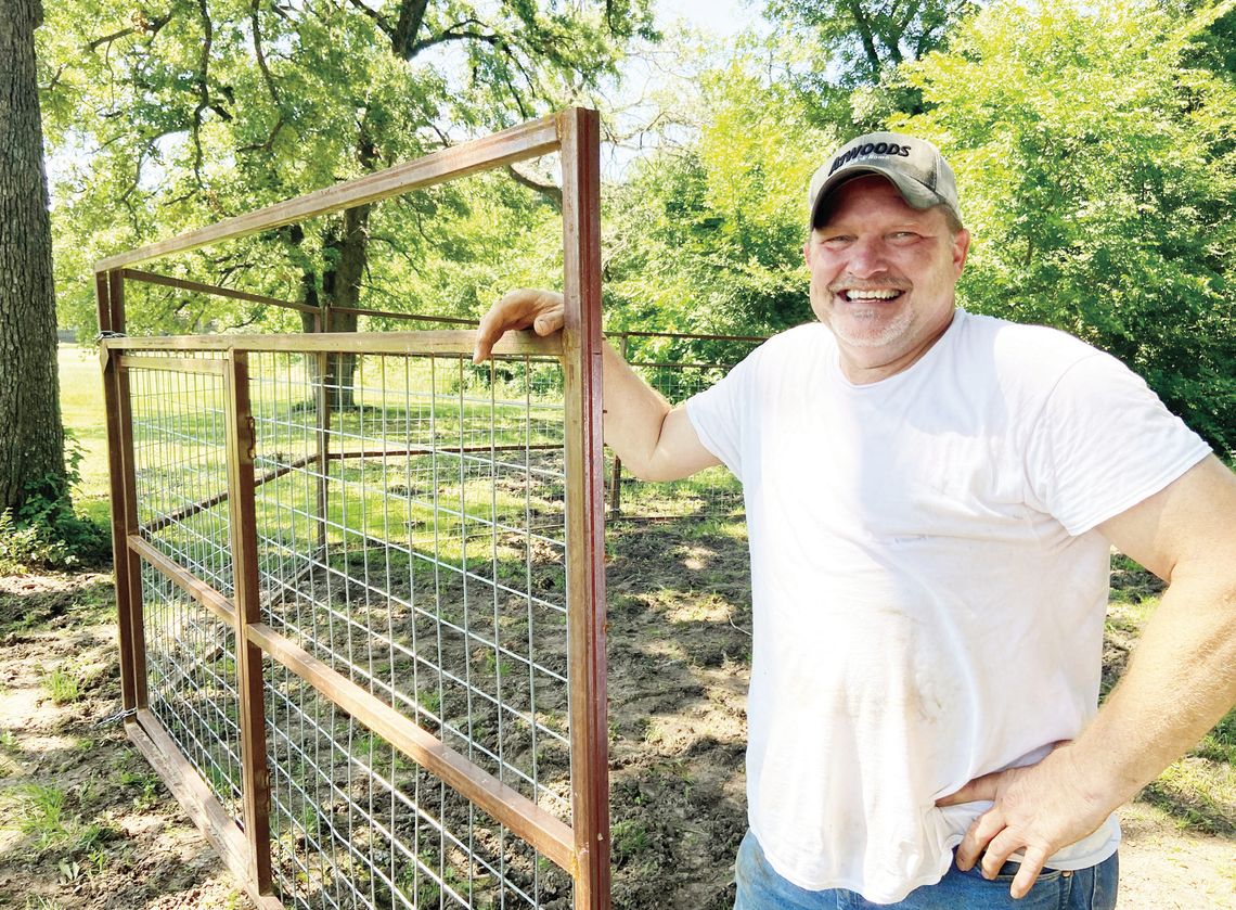 Hogs Close To Home