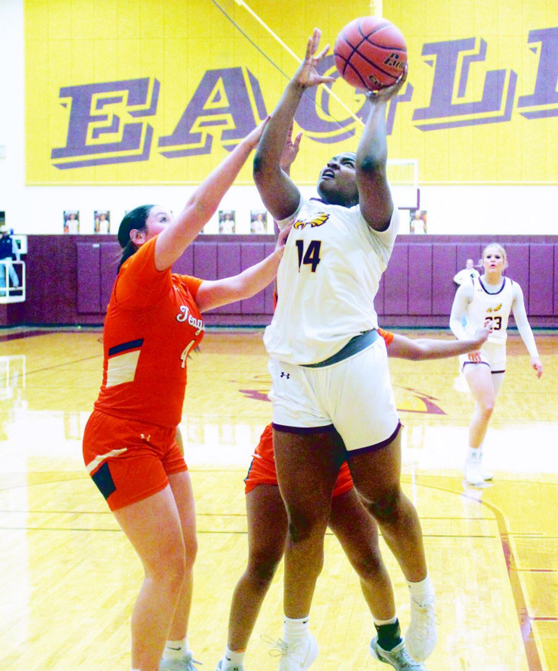 Lady Eagles Basketball