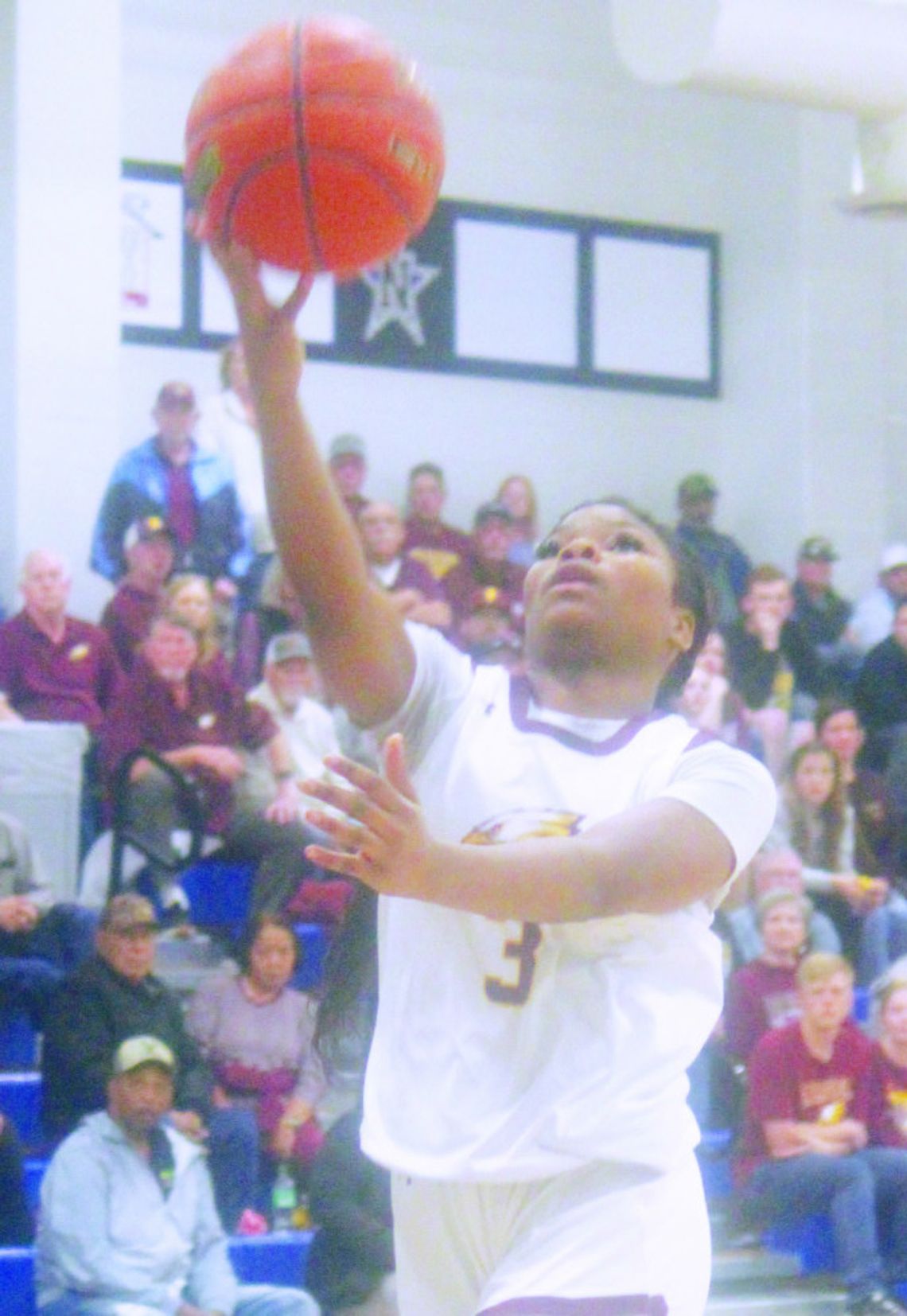 Lady Eagles Fall to Hitchcock in Regional Semi-Final