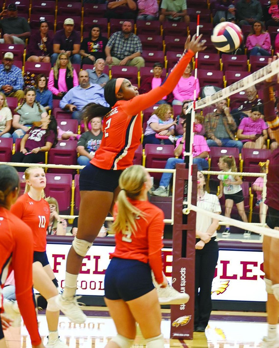 Lady Lions earn all-district honors