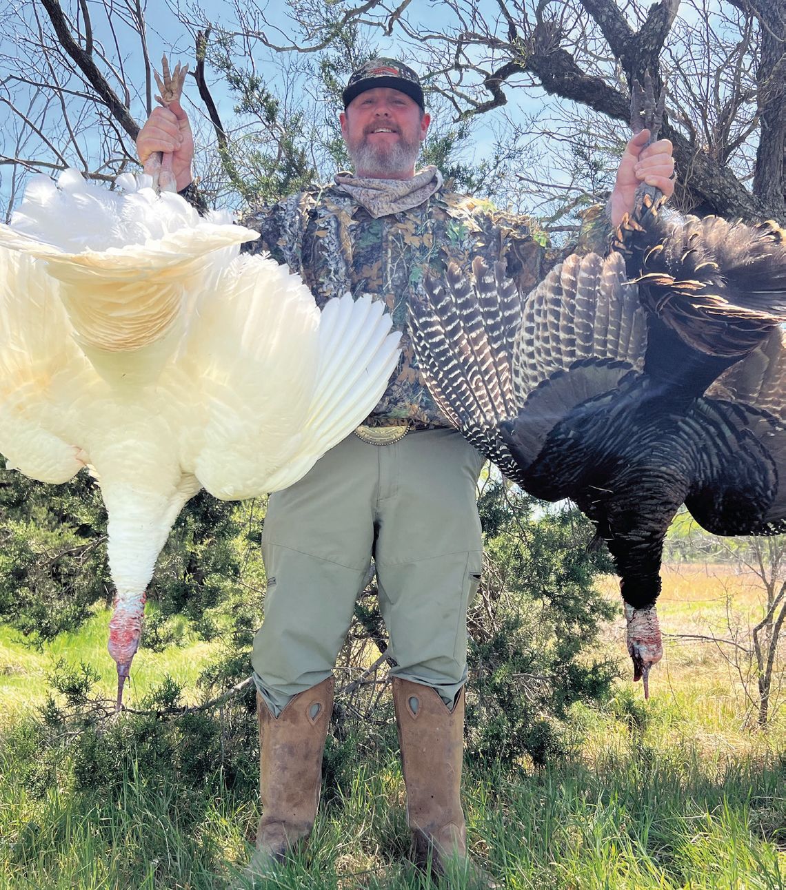 On March 29, Jaret Barrett of Waxahachie was turkey hunting on his 1,000-acre lease in Eastland County when he bagged a pair of Rio Grande gobblers at 40 yards. One of the gobblers had snow-white plumage that is considered exceptionally rare in the wild. Photo courtesy of Jaret Barrett