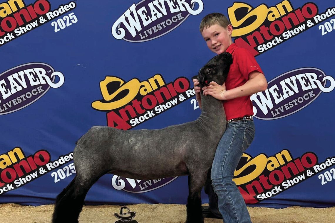 Reserve Champion at San Antonio