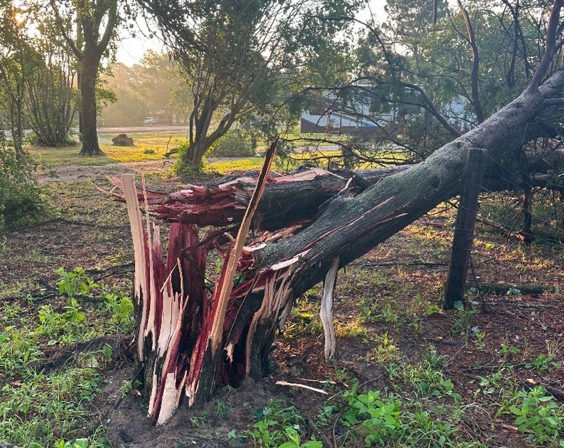 Sunday Night Storm