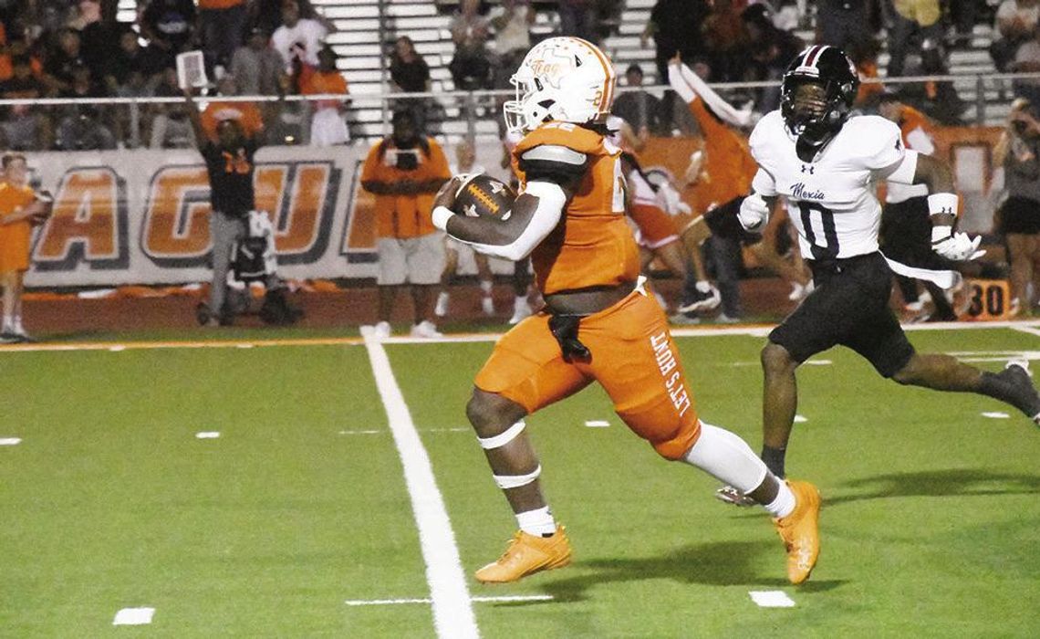 Teague Lions’ 2024 season includes bi-district title