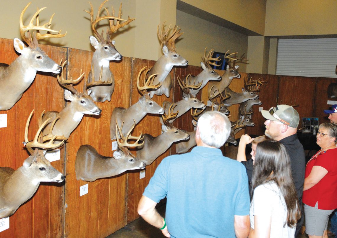 The Big Boys: Upcoming TBGA Awards Banquets to Recognize the State’s Top-Ranked Bucks from 2024–25 Deer Season