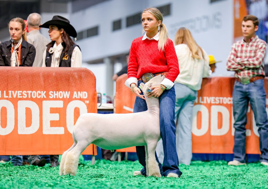 York’s Reserve Champion Lamb Goes for $42,000 at HLSR